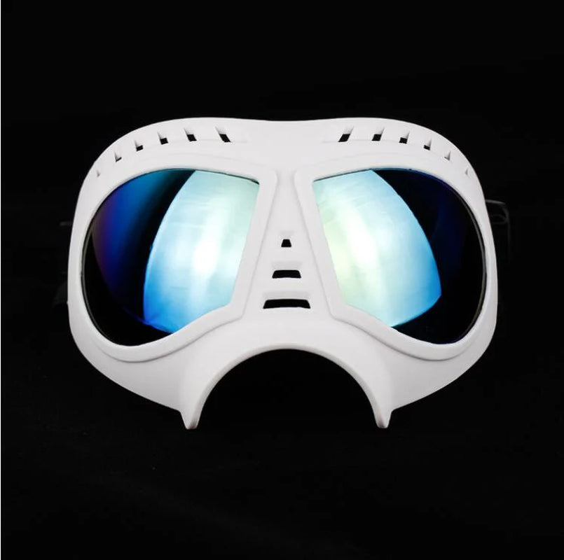 Dog Eyewear Shades Helmet Gear Cap Headgear