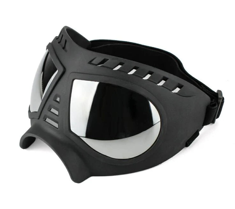 Dog Eyewear Shades Helmet Gear Cap Headgear