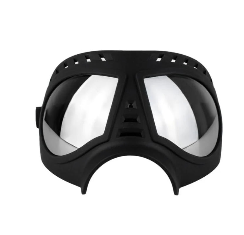 Dog Eyewear Shades Helmet Gear Cap Headgear